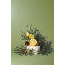 Load image into Gallery viewer, Fir Needle Candle 7.75 oz
